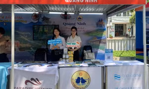Quảng Ninh tham gia Ngày hội du lịch TP Hồ Chí Minh lần thứ 20 năm 2024