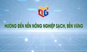 Hướng đến nền nông nghiệp sạch, bền vững