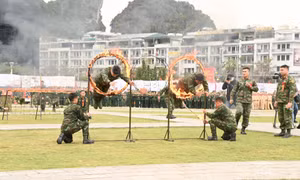 Tuổi trẻ LLVT: Nhiều hoạt động hưởng ứng Tháng Thanh niên năm 2024