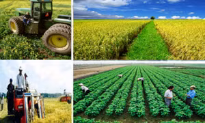 Sửa Bộ tiêu chí quốc gia về xã nông thôn mới
