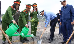 Năm 2024, TKV phấn đấu trồng 1 triệu cây xanh tại Quảng Ninh