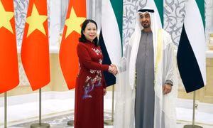 Phó Chủ tịch nước Võ Thị Ánh Xuân hội kiến Tổng thống Các Tiểu vương quốc Arab Thống nhất