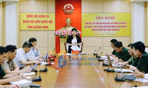 Hội nghị tham vấn, lấy ý kiến vào dự án, dự thảo, tháng 5-2023