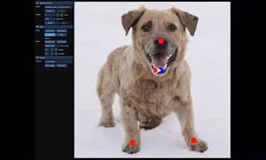 Tích hợp AI, một công cụ chỉnh sửa ảnh làm được điều đến Photoshop còn chưa thực hiện được
