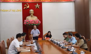 Kỷ luật Cảnh cáo đối với Trưởng Công an phường Bãi Cháy