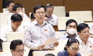 Tăng cường giám sát việc giải quyết thực chất, triệt để các kiến nghị của cử tri