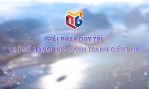 Giải pháp duy trì chỉ số năng lực cạnh tranh cấp tỉnh