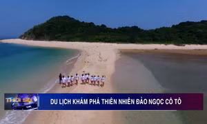 Du lịch khám phá thiên nhiên tại đảo ngọc Cô Tô