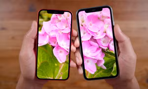 Apple tự sản xuất màn hình, giảm lệ thuộc Samsung