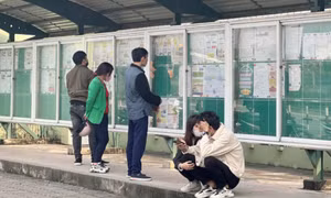 Mười thanh niên có một người thất nghiệp
