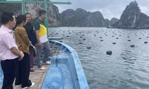 Đáp ứng nhu cầu vay vốn cho người dân nuôi trồng thủy sản
