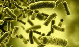 Cách phòng, tránh ngộ độc thực phẩm do độc tố của Clostridium botulinum