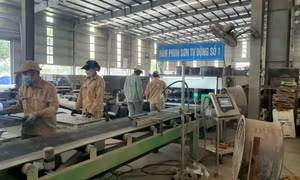 An toàn để phát triển sản xuất 