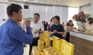 Chìa khóa nâng tầm sản phẩm OCOP