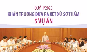Khẩn trương đưa ra xét xử sơ thẩm 5 vụ án trong quý 2