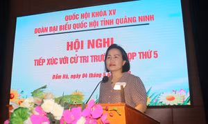 Đại biểu Quốc hội khoá XV tiếp xúc với cử tri huyện Đầm Hà trước Kỳ họp thứ 5