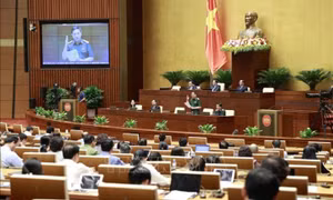 Chủ động nguồn lực ứng phó với thảm họa, sự cố từ sớm, từ xa