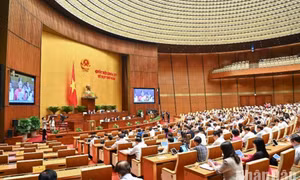 Đại biểu Quốc hội kiến nghị thanh tra toàn diện hoạt động bảo hiểm nhân thọ