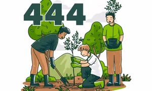 444 tỷ đồng - là số tiền đã huy động để thực hiện nhiệm vụ quản lý, bảo vệ và phát triển rừng của tỉnh 5 năm qua