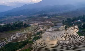 Hùng vĩ mùa nước đổ trên những thửa ruộng bậc thang