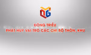 Đông Triều phát huy vai trò các chi bộ thôn, khu