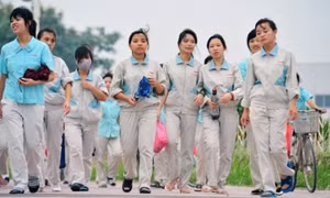 Nhiều doanh nghiệp FDI lỗ, đóng góp ngân sách chưa tương xứng