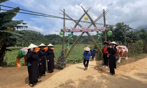 Bản tin vùng Đông Bắc ngày 11/5/2023	