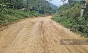 Nữ giáo viên cắm bản ở Hà Giang thiệt mạng trên đường đến trường