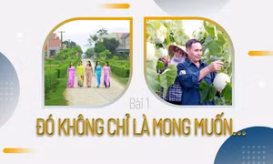 Đó không chỉ là mong muốn