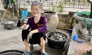 Đánh thức tiềm năng Ngọc Vừng