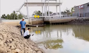 Cấp bách ứng phó với nguy cơ nắng nóng, hạn hán, xâm nhập mặn