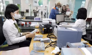 Hạ lãi suất chưa đủ, cần cơ chế tài chính 'cởi mở' hỗ trợ doanh nghiệp
