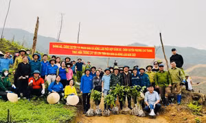 TP Hạ Long: Lan tỏa nhiều mô hình, cách làm hay