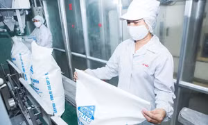 Nắm bắt cơ hội, làm chủ thị trường nội địa
