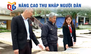 Nâng cao thu nhập nông dân