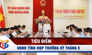UBND tỉnh họp thường kỳ tháng 5