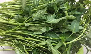 Hai loại rau giúp thanh nhiệt, giải độc