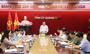 Hội nghị Ban Thường vụ Tỉnh ủy