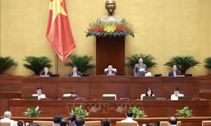 Giám sát việc huy động, quản lý, sử dụng các nguồn lực phục vụ phòng, chống dịch COVID-19