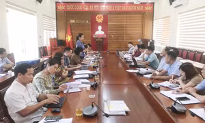 Giám sát công tác quản lý nhà nước đối với các cơ sở giáo dục mầm non tư thục 