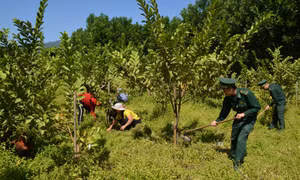 BĐBP Quảng Ninh gắn việc học và làm theo Bác với nhiệm vụ chuyên môn