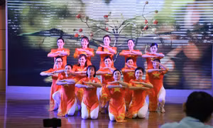 Sôi nổi Liên hoan dân vũ cấp tỉnh lần thứ Nhất