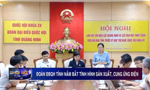 Đoàn ĐBQH tỉnh làm việc với Điện lực Quảng Ninh và các nhà máy nhiệt điện