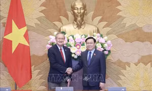 Chủ tịch Quốc hội Vương Đình Huệ tiếp Đoàn đại biểu Thượng Nghị viện Hoa Kỳ