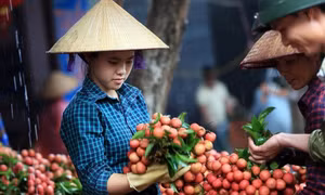 Những lý do bạn nên ăn quả vải vào mùa hè