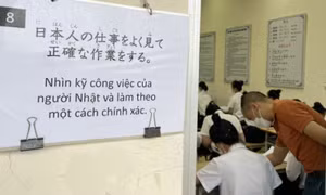 Cấm ép thực tập sinh cam kết 'về nước khi mang thai, sinh con'