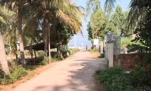 Bé 4 tuổi vặn tay ga xe máy phi vào tường, 3 người tử vong