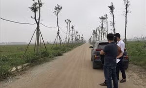 Tổng rà soát để ngăn chặn môi giới đất tạo sóng ảo