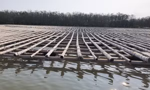 Đẩy nhanh tiến độ chuẩn hóa vật liệu nổi trong nuôi trồng thuỷ sản