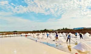 Bắc Bộ tăng nhiệt nhanh chóng và chuyển trạng thái nắng nóng